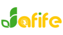 4.png